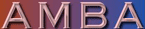 T System