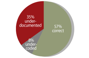 Chart Audit - Pie Chart